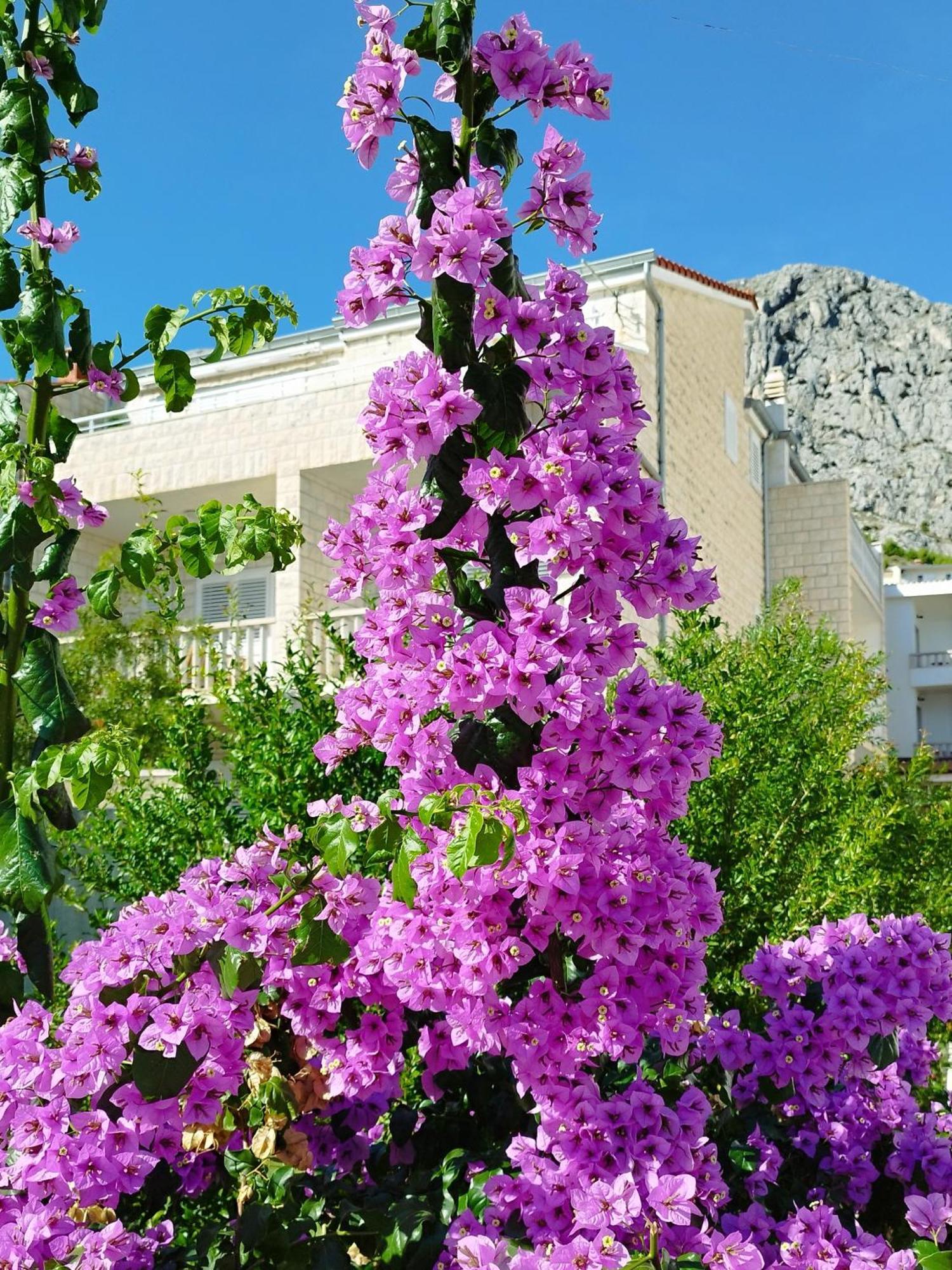 Ferienwohnung Am Sandstrand Omiš Esterno foto